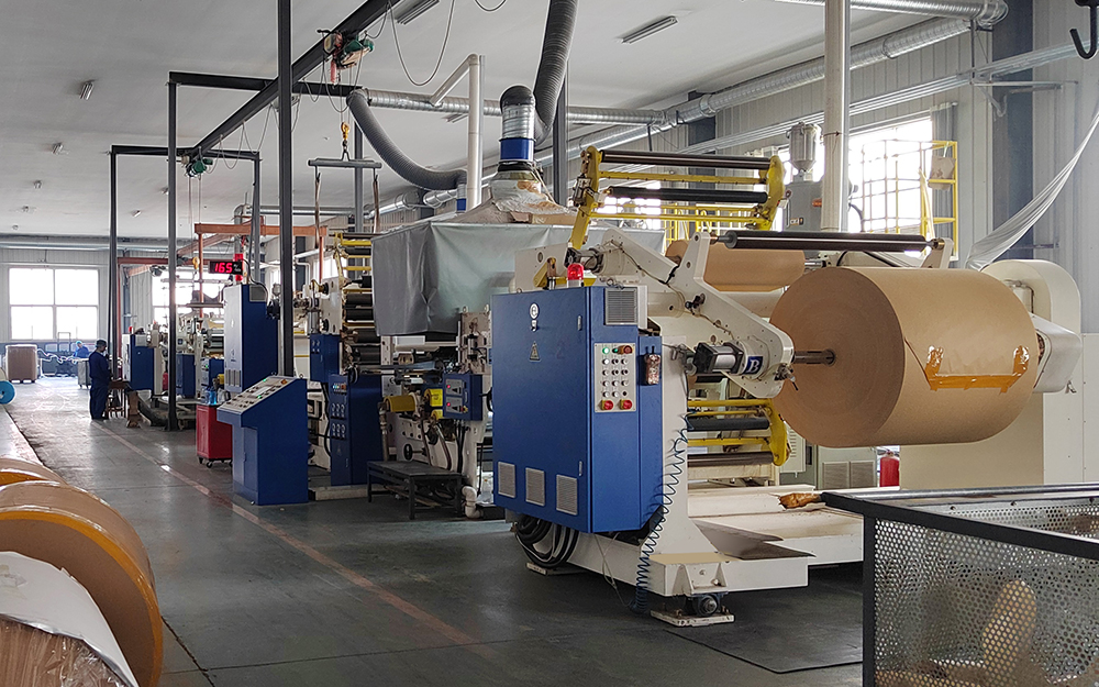 Productos de embalaje Co., Ltd de Shandong Shineway